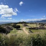 Private tour to Monte Alban and alebrijes and black mud and textiles - Meet the Artisans: Alebrijes in San Martin Tilcajete
