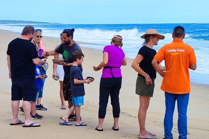 Private tour to release turtles with tickets included - The Itinerary: What to Expect