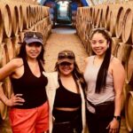 Private Tour to Tequila and Guachimontones - Who Is This Tour Best For?