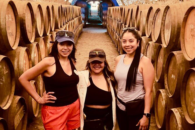 Private Tour to Tequila and Guachimontones - Who Is This Tour Best For?