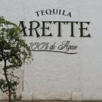 Private Tour to Tequila with Tequila Arette Tasting - What You Can Expect from the Itinerary
