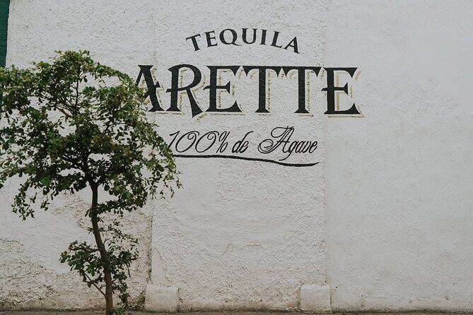 Private Tour to Tequila with Tequila Arette Tasting - What You Can Expect from the Itinerary