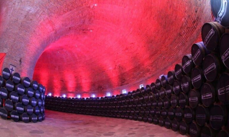 Private Tour to Tequilera Corralejo and Piramides Zone - Analyzing the Value