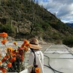 Private Tour to the Tehuacán Biosphere Reserve - The Sum Up