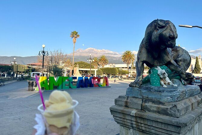 Private Tour to the Volcano Area with Lunch - Who Should Consider This Tour?