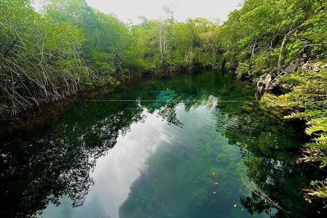 Private Tour to Tulum Cenotes Sac Actun - What Travelers Say: Authentic Perspectives