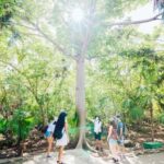 Private Tour: Tulum Ruins, Natural Waterways Float & Tacos - Why This Tour Works Well