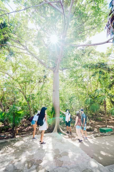 Private Tour: Tulum Ruins, Natural Waterways Float & Tacos - Why This Tour Works Well