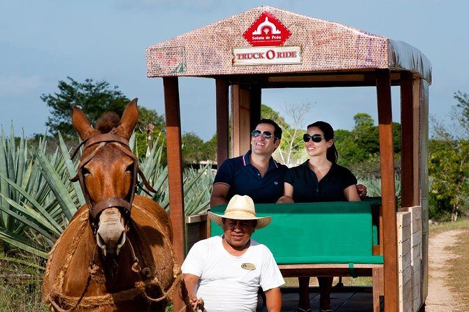 Private Tour: Uxmal & Hacienda Sotuta de Peon by Yucatan Concierge - Practical Details and Value