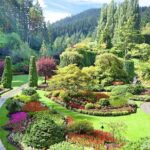 Private Tour: Victoria and Butchart Gardens Day Trip - Value for Money and Experience Quality