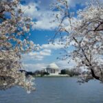PRIVATE TOUR Washington DC: Private Tour with Luxury SUV - Who Is This Tour Best For?