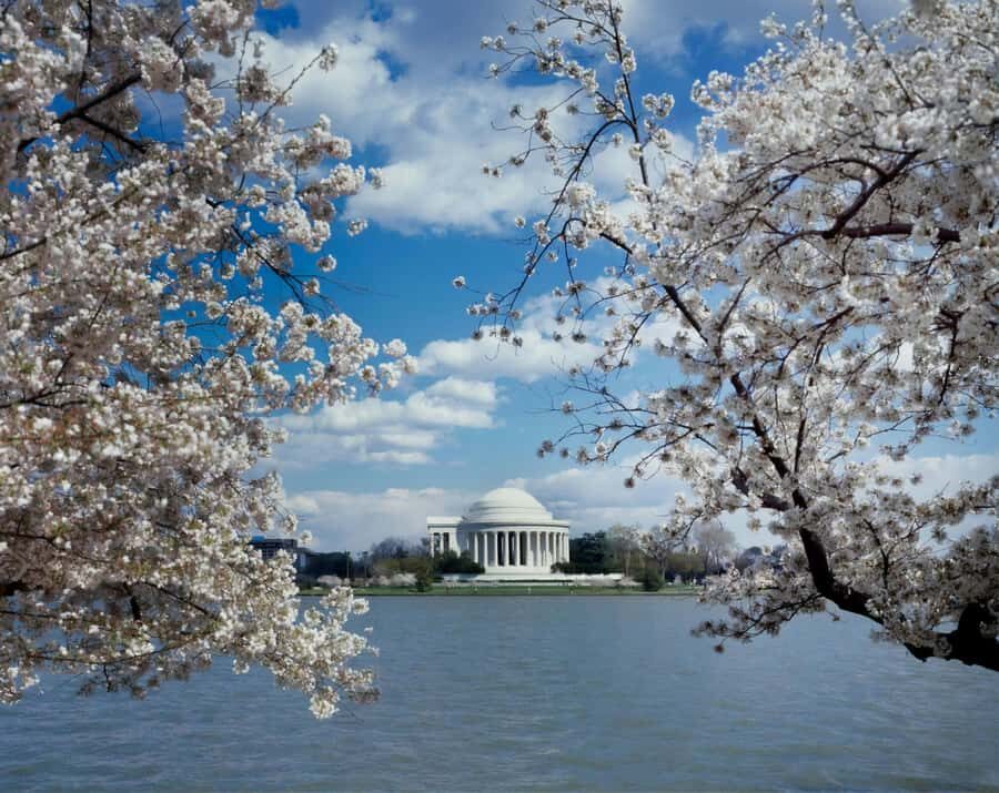 PRIVATE TOUR Washington DC: Private Tour with Luxury SUV - Who Is This Tour Best For?