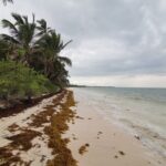 Private Transfer-Cancun Airport-Playa del Carmen One Way - How the Process Works