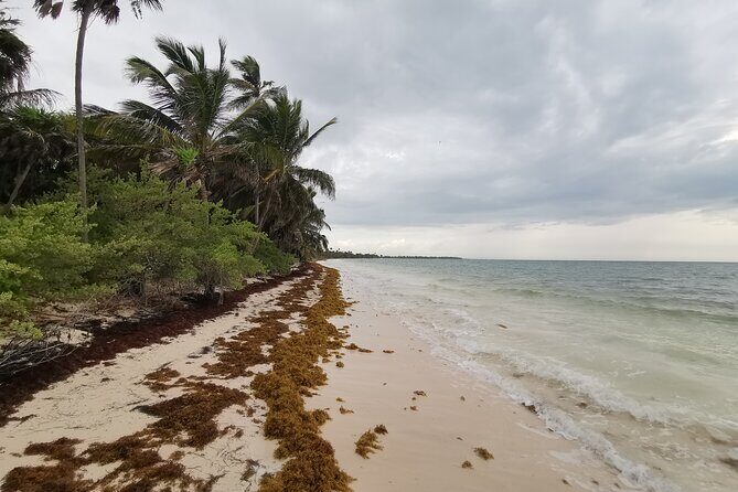 Private Transfer-Cancun Airport-Playa del Carmen One Way - How the Process Works