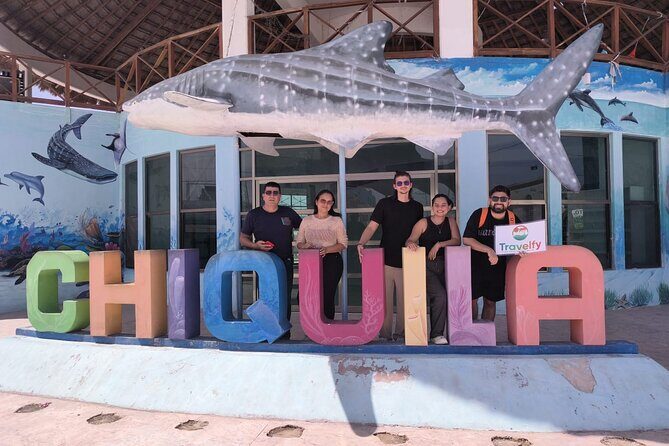 Private Transfer Cancun Airport to Chiquilá Holbox Ferry - Why This Transfer Works Well