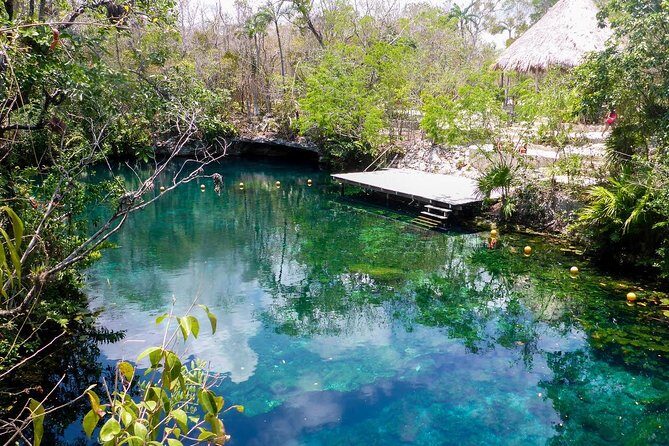 Private transfer for 5 hours (go dinner,cenotes, shopping and more) - The Details of the Tour