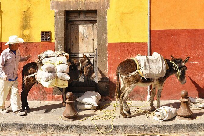 Private Transfer from Guanajuato City to San Miguel de Allende - What to Expect During the Trip