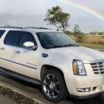 Private Transfer from Hilo Cruise Port to Kona city hotels - Who Will Benefit Most from This Transfer?