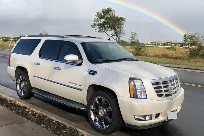 Private Transfer from Hilo Cruise Port to Kona city hotels - Who Will Benefit Most from This Transfer?