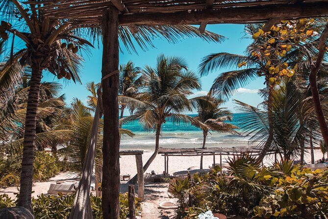 Private Transfer from Mahahual to Tulum with Sightseeing - Final Thoughts