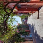 Private Transfer from Mexico City to San Miguel de Allende - The Sum Up: Who Should Book This?