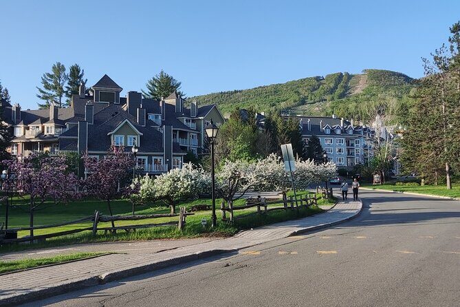 Private Transfer To Mont Tremblant From Montreal YUL Airport - Who Is This Transfer Best For?