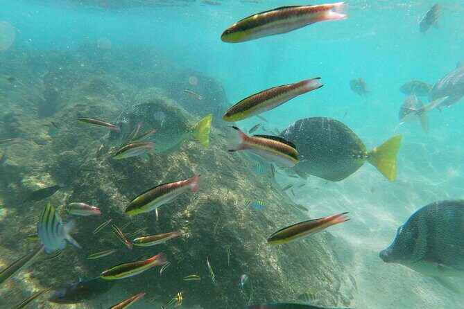 Private transportation Airport-Hotel or Hotel-Airport - Final Thoughts: Who Should Consider This?