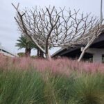 Private Transportation Hobby Airport (HOU) Departure Drop off - The Practical Impact for Travelers