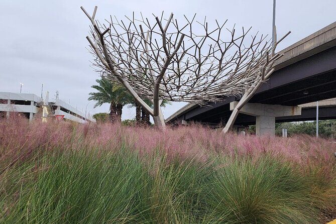 Private Transportation Hobby Airport (HOU) Departure Drop off - The Practical Impact for Travelers