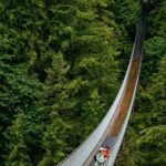 Private Transportation to Capilano Suspension Bridge Park - Who Will Appreciate This Tour?