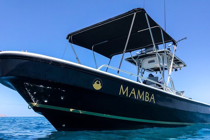 Private Trip Espiritu Santo Island - The Value of a Private Tour