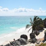 Private Tulum mayan ruins & Snorkel with Turtles in Akumal Adventure - An In-Depth Look at the Tour