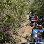 Private Tulum Ruins Tour and ATV Adventure From Tulum - The Thrill of the Jungle ATV Ride