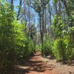 Private Upcountry Hiking Tour - A Closer Look at the Maui Upcountry Hiking Experience