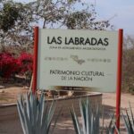 Private Van and Bilingual Local Driver - Who Will Love This Tour?