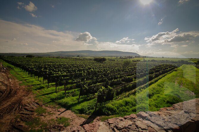 Private Vineyard and Wine Testing Tour From Guanajuato - Authenticity and Value