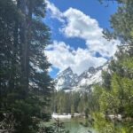 Private VIP Tour of Grand Teton National Park - The Itinerary: A Day of Spectacular Views and Hidden Corners