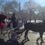 Private Walking Tour: Jewish Colonial History in New York City - Overview of the Tour Itinerary