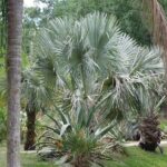 Private Walking Tour to St. John's Botanical Garden - What Travelers Say & Why It Matters