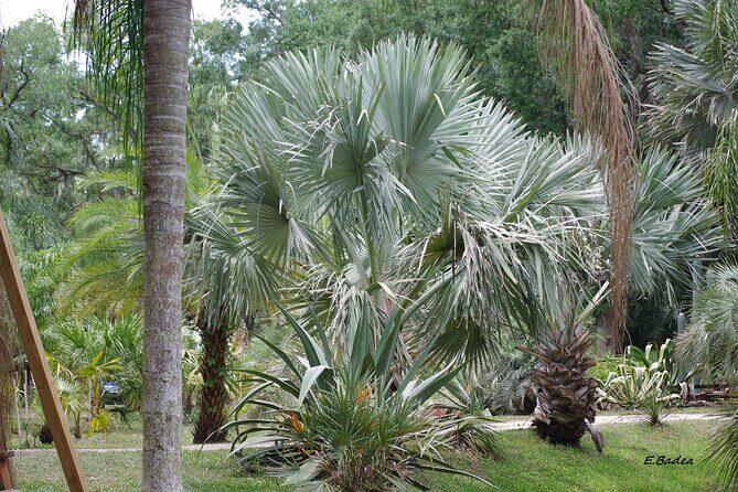 Private Walking Tour to St. John's Botanical Garden - What Travelers Say & Why It Matters