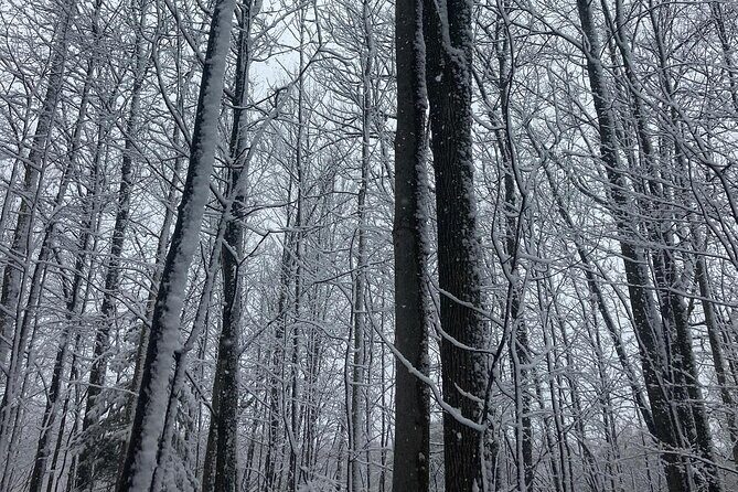 Private Westboro Equine Experience - Who Will Love This Experience?