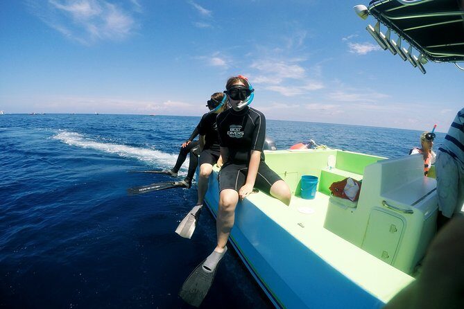 Private Whale Shark All Inclusive Experience - Who Should Consider This Tour?