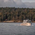 Private Whale Watching Nanaimo - Semi-Covered Boat - What to Expect: A Typical Day