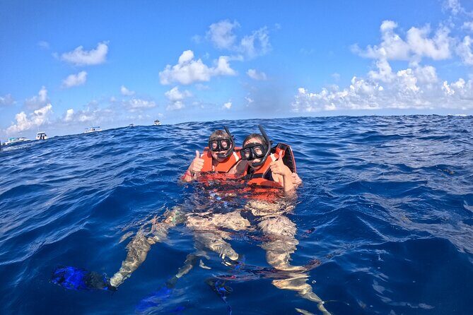 Private Whale Watching Tours in Isla Mujeres - An In-Depth Look at the Whale Shark Snorkeling Experience