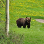 PRIVATE Wilderness and Wildlife Walking Tour - 2.5H - The Real Experience: Authenticity and Value