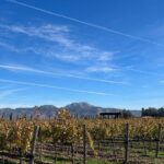 Private Wine and Food Tour in Valle de Guadalupe - Who Should Consider This Tour?