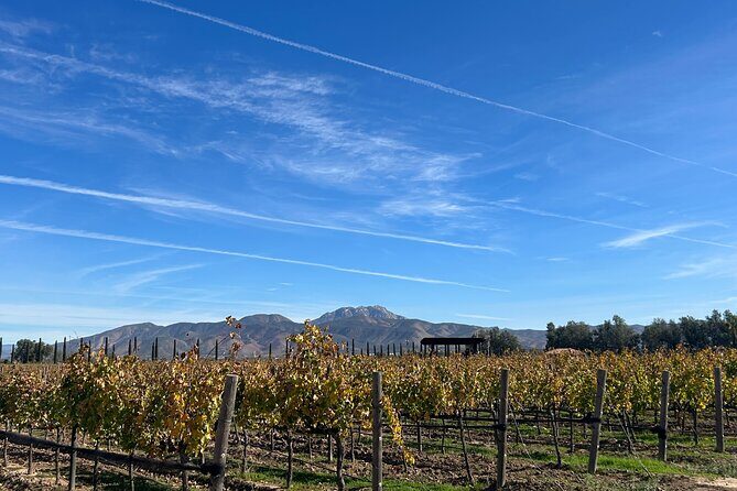 Private Wine and Food Tour in Valle de Guadalupe - Who Should Consider This Tour?