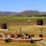 Private wine tour - What to Expect on the Day