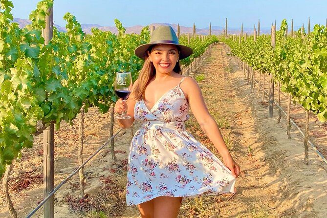 Private Wine Tour at Valle de Guadalupe (A wine tasting included). - Deep Dive into the Itinerary & Experience