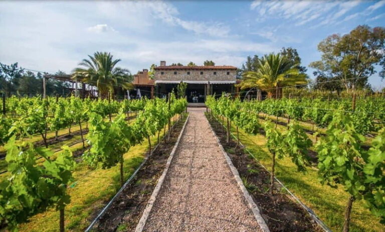 Private Wine Tour from Guanajuato City - A Detailed Look at the Itinerary